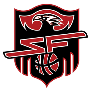 武汉盛帆白鹤女篮logo