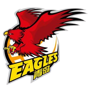 青岛国信海天后备队logo