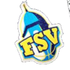 FSV女篮logo