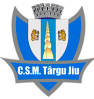 CSM特尔古捷乌B队logo