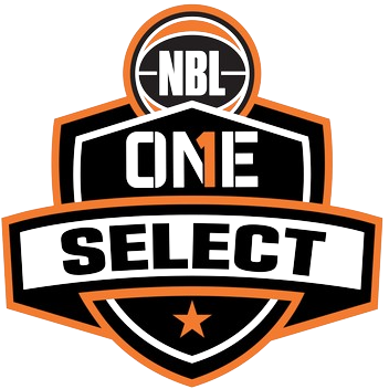 澳甲联南部精选队logo