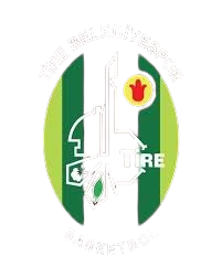 贝莱斯波轮胎logo