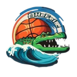 合肥文旅女篮logo