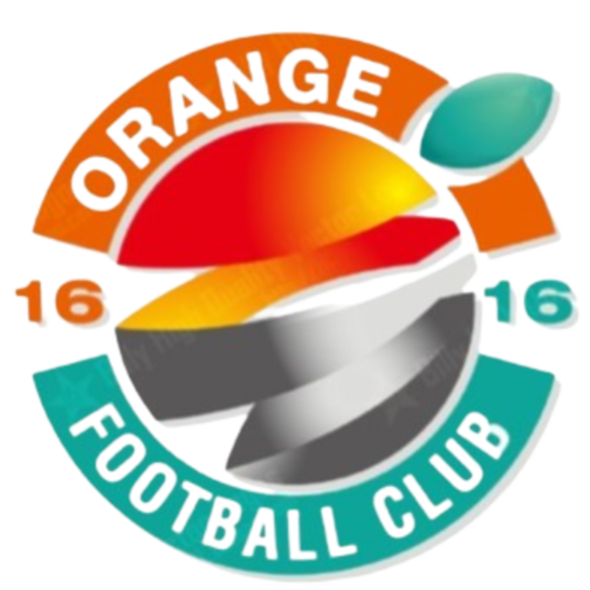 上海赛更达橘橙logo