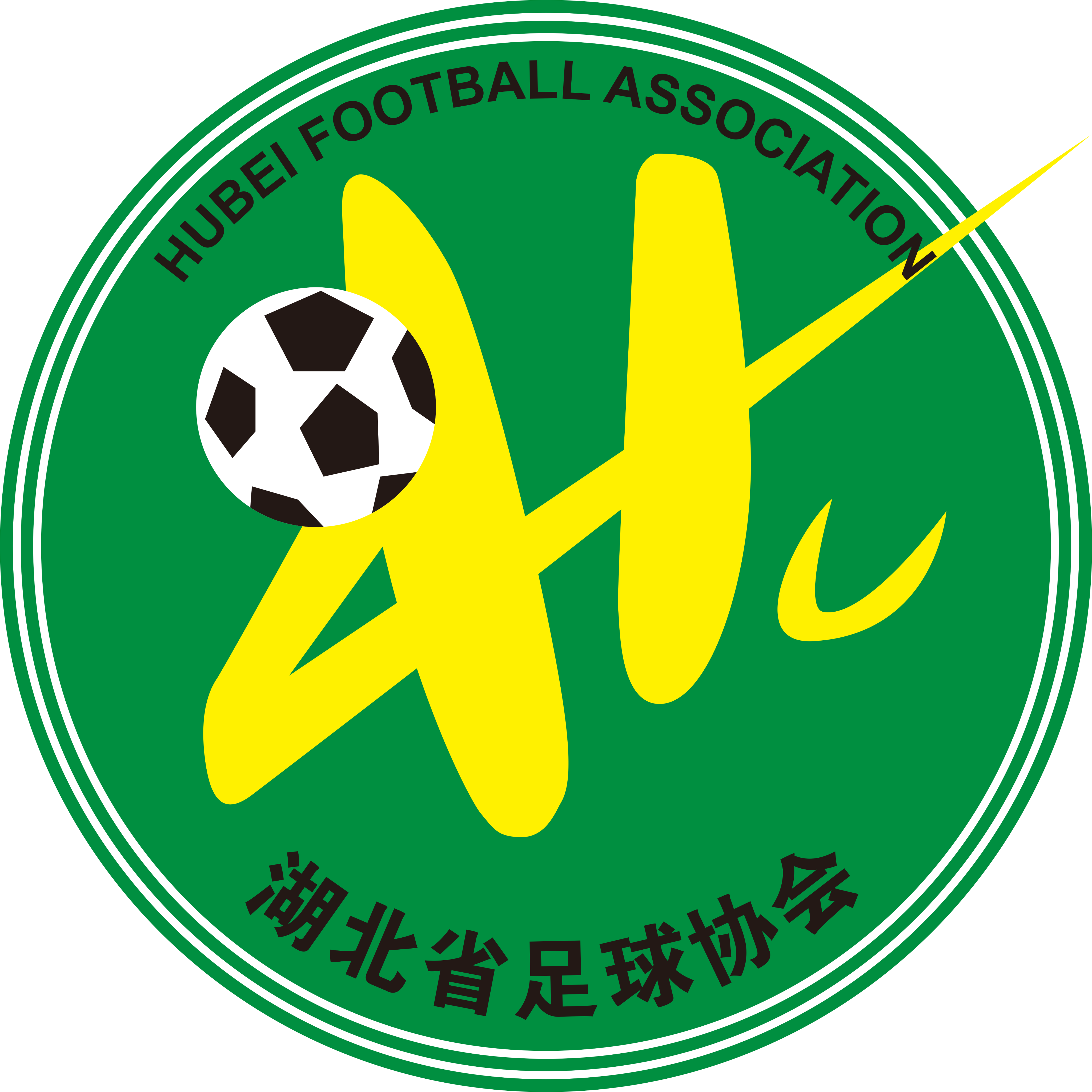 湖北女足U18logo