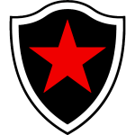 博塔福戈PB女足logo