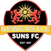 纽卡斯尔太阳队logo
