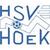 HSV胡克logo