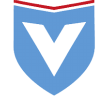 维多利亚柏林女足logo