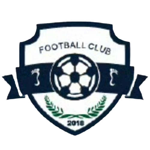 广西足行天下logo