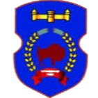 纳德日达巴拉诺维奇logo