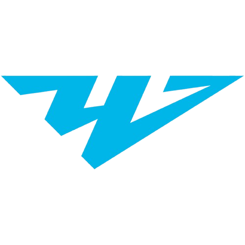 车里雅宾斯克logo