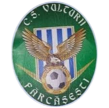 法尔卡塞斯蒂logo