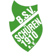 BSV惠恩logo