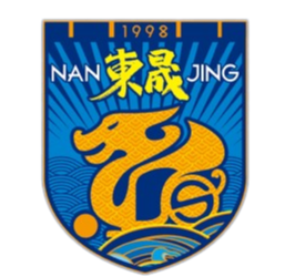 江苏南房东晟logo