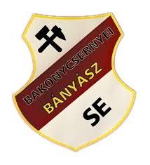 包科尼切尔涅logo